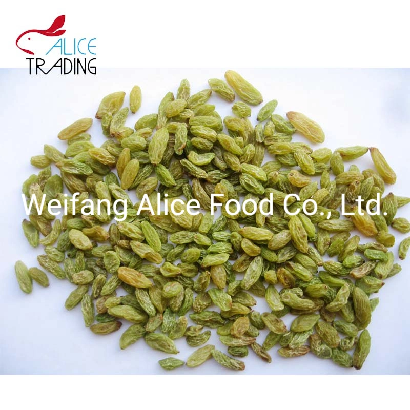 Wholesale New Crop Dried Raisins Preserved Raisins Price Green Raisins