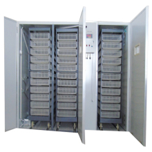 Egg Incubator 12672: Poultry Farm Hatchery Equipment