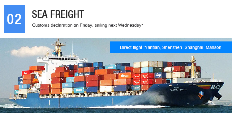 Professional Shipping Agent Ocean Freight Shipping Agent China To Myanmar