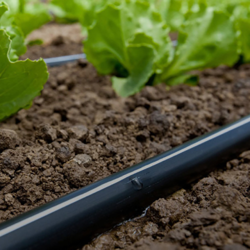 Nastro a goccia per irrigazione a goccia per agricoltura