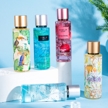 Customizable Logo Body Mist, Perfume Body Spray, and Secret Body Mist Collection - 250ml