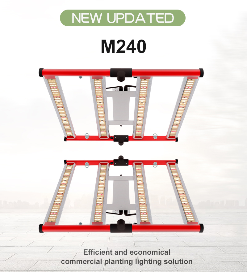 Professional LED Grow Light for Medical Plants 240W