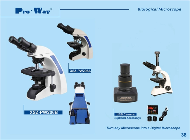 Professional LED SEIDENTOPF BINOCULAR BIOLOGICAL MICROSCOPE och UPGRADE tillgängligt (XSZ-PW206)