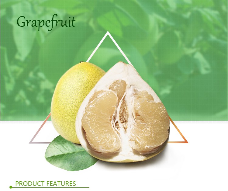 Hot Selling New Crop Chinese Grapefruit Shaddock Red Pomelo