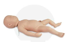 Full body Infant head injection Model