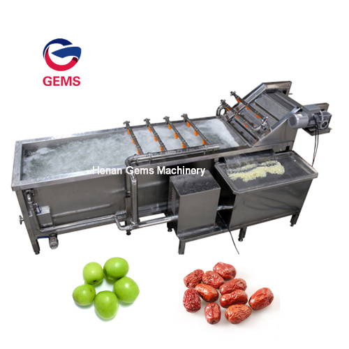 Lotus Root Blanching Waschmaschine Lotus Reinigungsmaschine