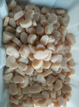 Frozen IQF Pen Shell Scallop