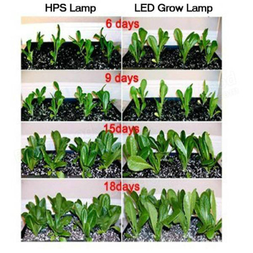 LED wachsen Lichter für Indoor Garden Medical Plant