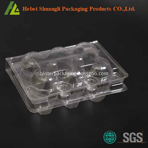 plastic quail egg tray plastic quail egg tray
