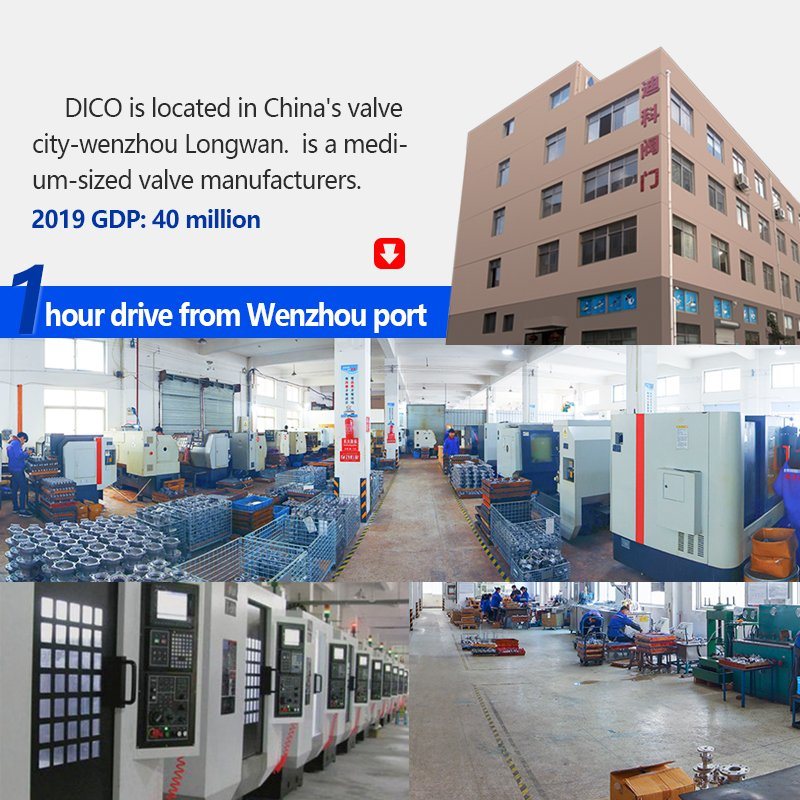 Wenzhou-Dico-Valve-Technology-Co-Ltd- (6)