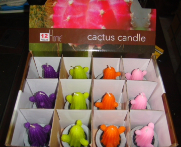 cactus plant flower craft candle