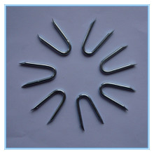 U fence staples U type Nails