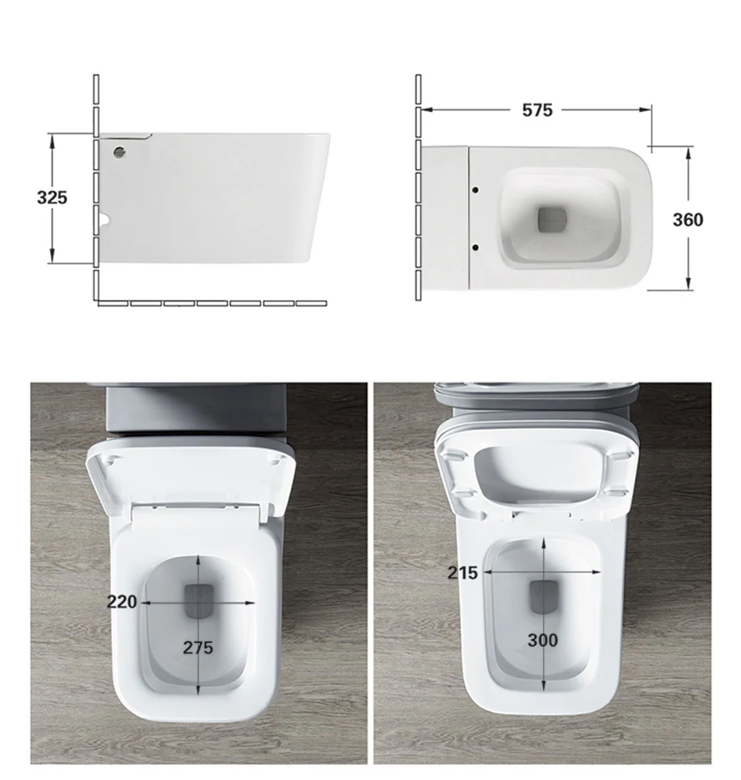 Wall Hung Smart Toilet Bathroom Toilet