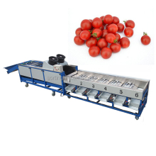 Small Tomato Sorting Machine for Fruit Sorting Machinery