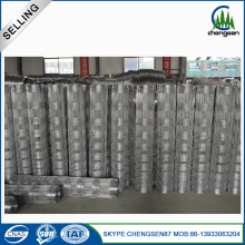 Hot Dipped Galvanized Filed Fence