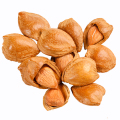 Grote maten gezonde snacks Abrikozennoten met hoge voedingswaarde
