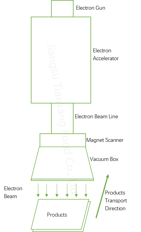 E-Beam Irradiation