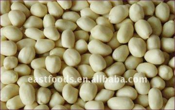 Blanched Groundnut Kernels