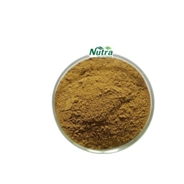 Organic Herba Lophatheri Extract powder