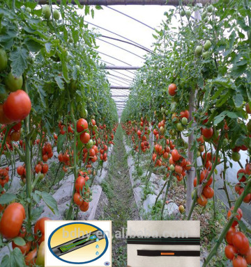 drip drip irrigation tape with flat emitter