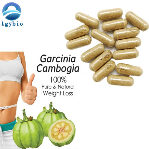 Потеря веса 50% HCA Garcinia Cambogia экстракт порошок