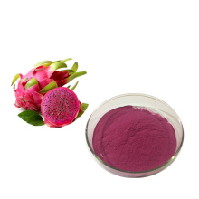 Best Quality of Freeze Dried Red Dragon Powder