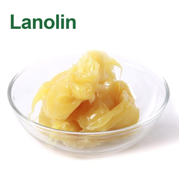Wholesale Bulk Raw Anhydrous Lanolin Cream