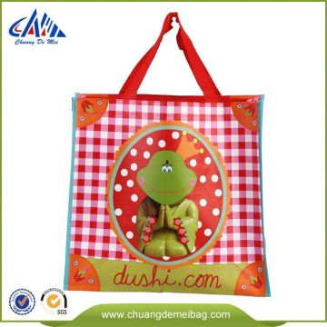 Various Styles Newest Pp Woven Shopping Bag