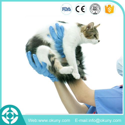 Eco-friendly durable disposable nitrile pet grooming gloves