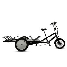 TXED China Manufacturers: Three Wheel Electric Cargo Trike with Bike Stand Flatbed Cargo Tricycle