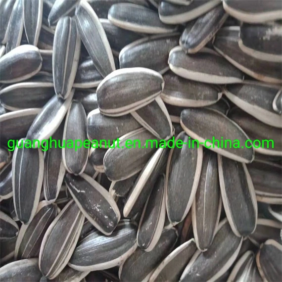 Good Quality and New Crop Sunflower Seeds