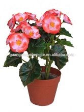 SJ030922 Chinese flowering crab-apple /artificial potted silk flowers plant