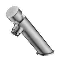 Commercial Wall-Mounted Time Delay Basin Tap