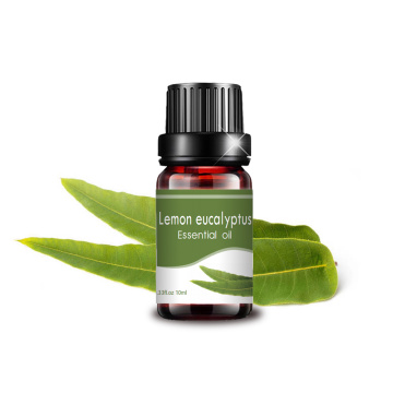 Grosir Minyak Lemon Eucalyptus Tingkat Terapeutik Grosir