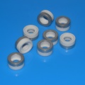 Metallic Coating Ceramic Insulator for Gastriode