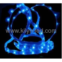 120 Degree SMD3528 LED Strip Light with Full Range Color