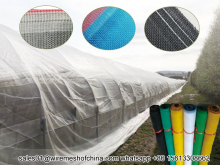 high quality insect screen greenhouse