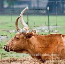 galvanized cattle fence