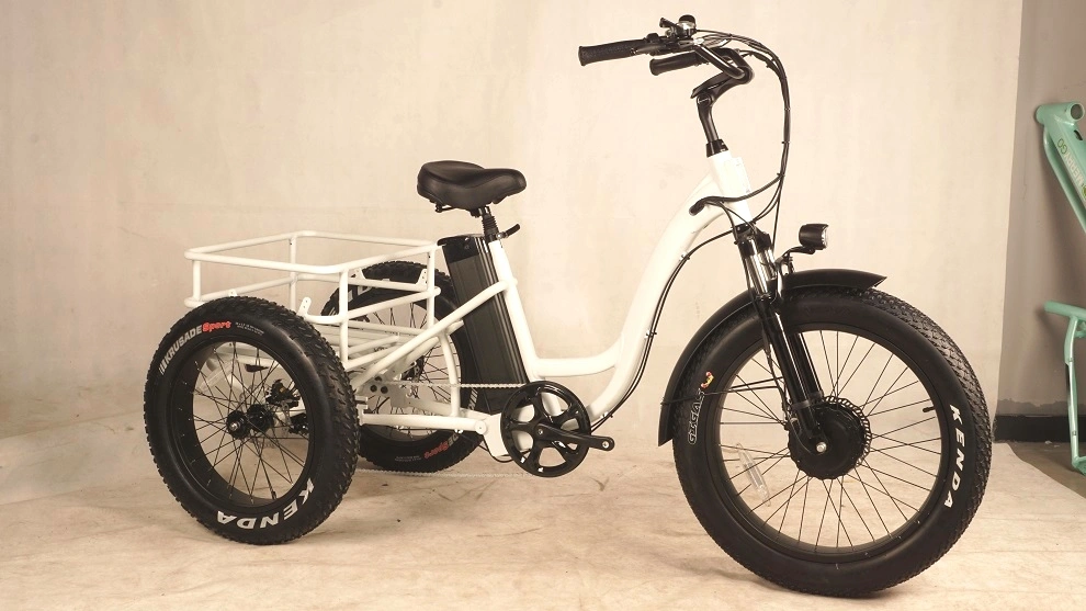 2020 New Model High Power Cargo E-Bike Electric Fat Tire Trike for Delivery