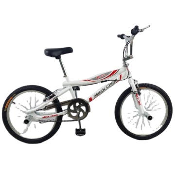 Custom BMX Bikes with Fat Tires for Stunts and Dirt Jumping