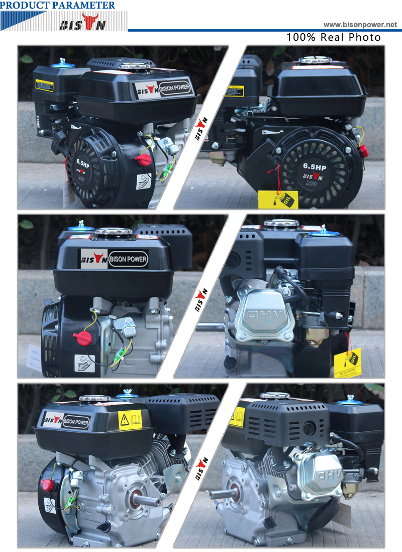 Bison 196cc Gasoline Engine, OHV Gasoline Engine BS200 6.5HP, Single Cylinder 168F-1 Gasoline Engine