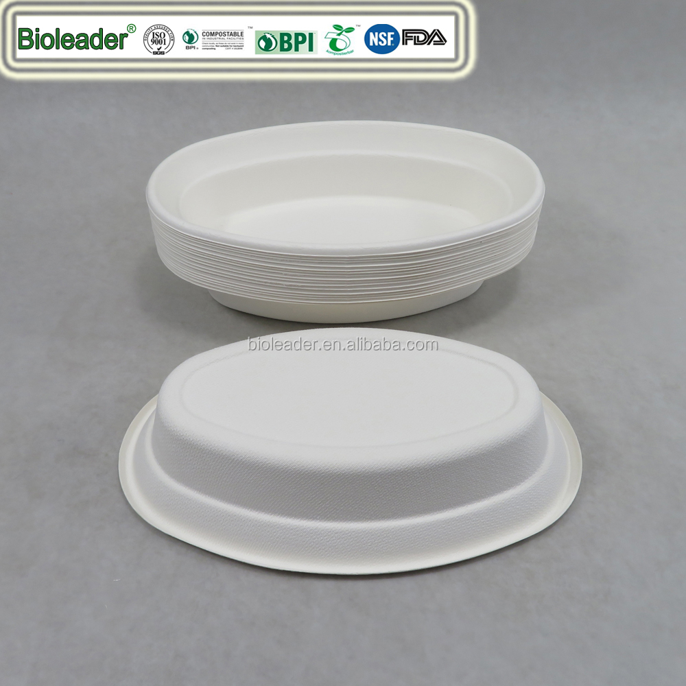 Cheap sugarcane bagasse pulp food paper 10 inch plate