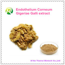 Extrait 100% naturel d&#39;endothélium de Corneum Gigeriae Galli de haute qualité