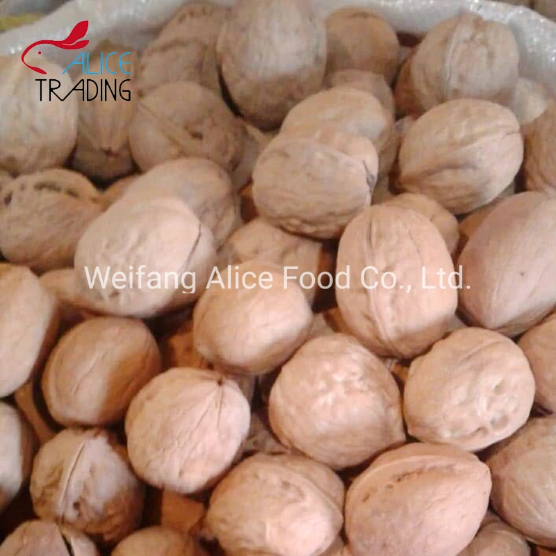 Factory Direct Supply Low Price China Walnut