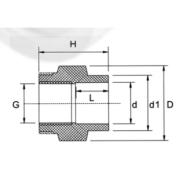 DIN PN16 Cpvc Female Thread Adapter Steel Ring