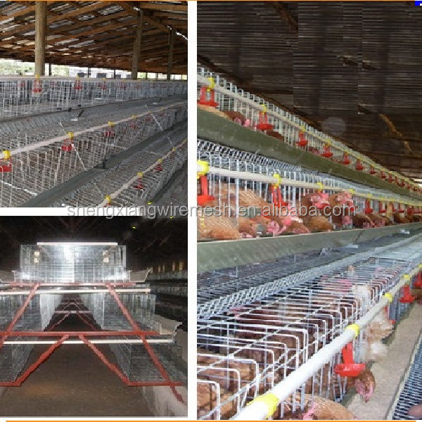 3 Layersales uganda poultry farm automatic chicken cage  hot galvanized 20 years lifetime  with Auto water system