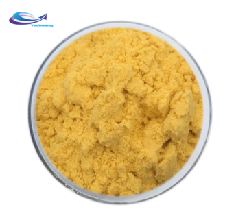 Natural organic Hippophae Rhamnoides Extract powder