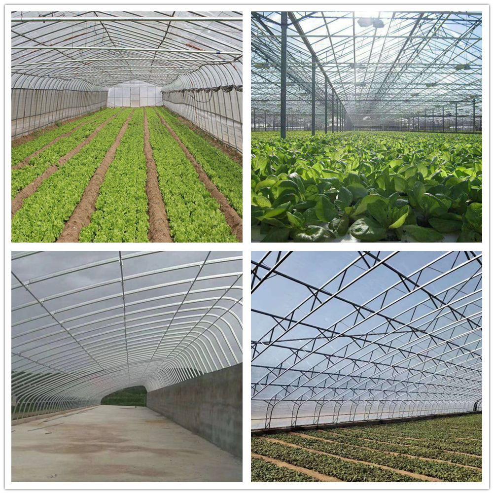 Industry Prefabricated Prefab Fabricated Modular Modern Greenhouse Pipe