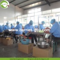 Factory Supply Healthy Bulk En Grade Goji