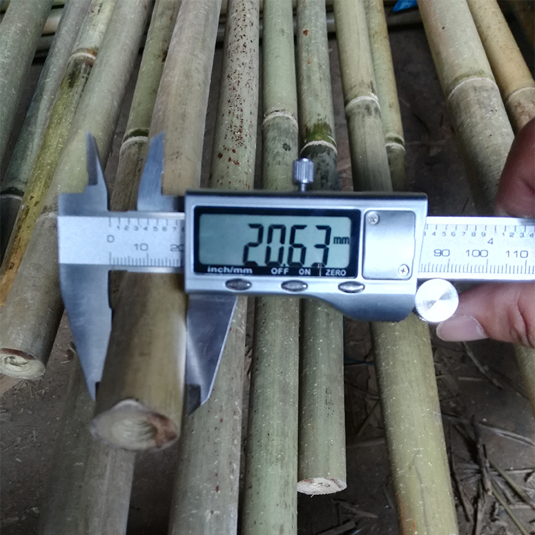 Wholesale Eco-friendly Support Plant Growing Natural Raw Moso Artificial Bamboo Poles